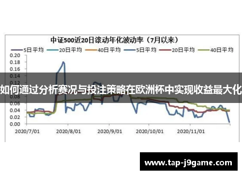 如何通过分析赛况与投注策略在欧洲杯中实现收益最大化