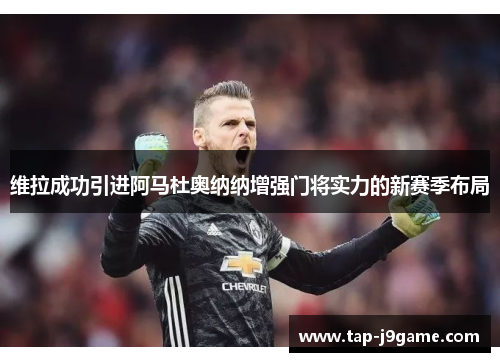 维拉成功引进阿马杜奥纳纳增强门将实力的新赛季布局