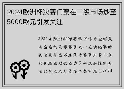2024欧洲杯决赛门票在二级市场炒至5000欧元引发关注